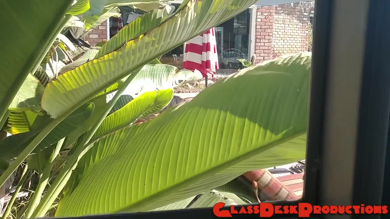Watch Jeepers creepers Short Sex Videos - Duration: 10:06 | ePornNEW.