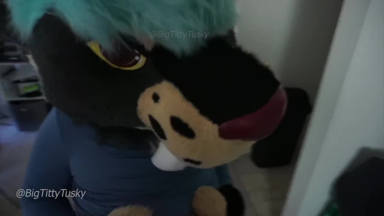 Watch Female Murrsuiter with Big Tits Teases in a Tight Shirt Short Sex Videos - Duration: 06:31 | ePornNEW.