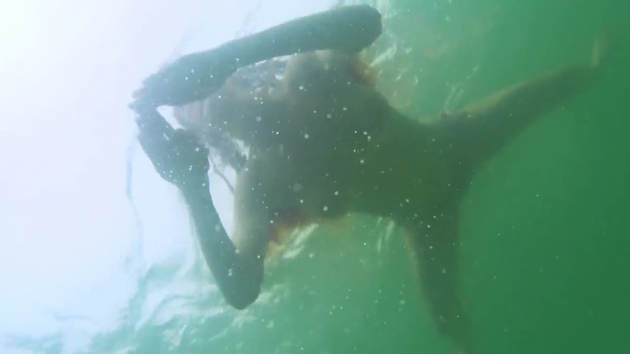 Watch Nude underwater Shooting in Thailand big boobs in water Short Sex Videos - Duration: 01:23 | ePornNEW.