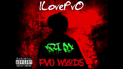 ILovePvO - PvO Woods 5