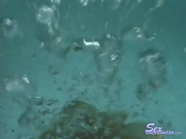 Watch traciez-uwbtg underwater Short Sex Videos - Duration: 26:06 | ePornNEW.