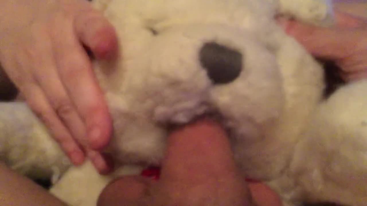 Watch Plushie Furry Hardcore Teddy Bear Blow Job Short Sex Videos - Duration: 00:54 | ePornNEW.