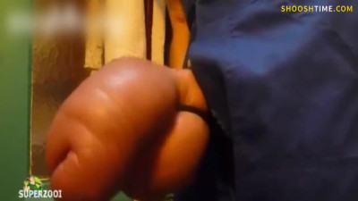 WTF: There are No words to Describe This
