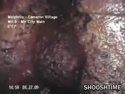 Watch Strange Sewer Monster Gets Debunked Short Sex Videos - Duration: 04:28 | ePornNEW.
