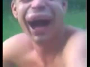 Being Stung By Hornets Looks Like It Sucks