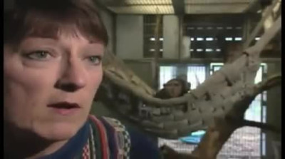 Monkey Gives Interviewer A Special Wink