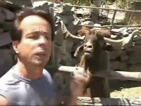 Watch This Is Why You Dont Argue With An Ibex Short Sex Videos - Duration: 01:30 | ePornNEW.