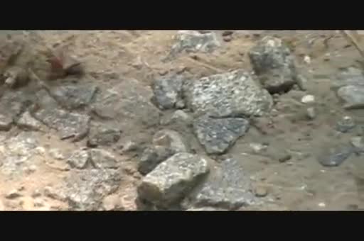 Watch Giant Red Wasp vs. Big Spider - Who Wins? Short Sex Videos - Duration: 01:21 | ePornNEW.