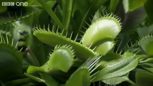 Watch This Video Makes You Feel Bad About Flies Short Sex Videos - Duration: 02:50 | ePornNEW.