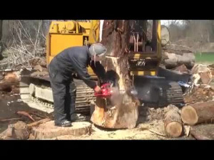 Japanese Man Does Amazing Work With Chainsaw