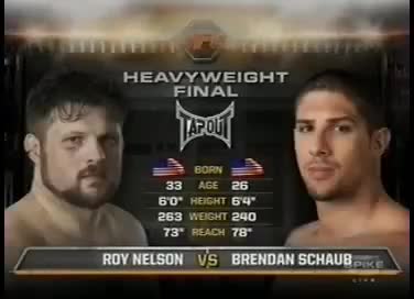 Watch TUF 10 Finale: Roy Nelson vs. Brendan Schaub Short Sex Videos - Duration: 10:17 | ePornNEW.
