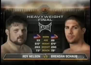 TUF 10 Finale: Roy Nelson vs. Brendan Schaub