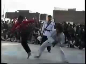 High Level Taekwondo Match Ends In Epic Style