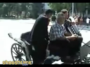 Horses Totally Ruin Sweet Wedding Celebration