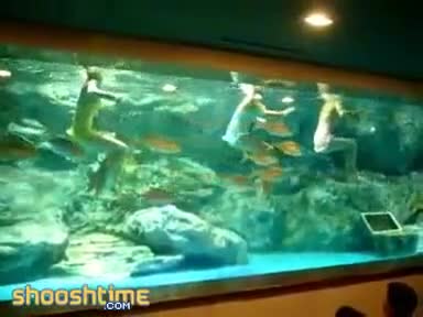 Watch Only Synchronized Swimming A Guy Can Watch Short Sex Videos - Duration: 01:45 | ePornNEW.