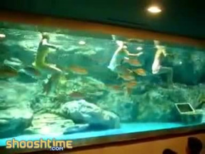 Only Synchronized Swimming A Guy Can Watch