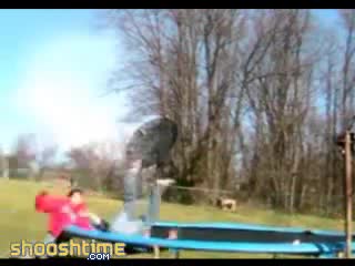 Watch How To Paralyze A Friend With A Ladder And Trampoline Short Sex Videos - Duration: 00:31 | ePornNEW.
