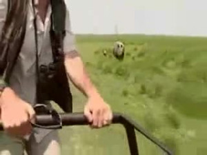 Rhino Chase