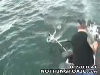 Watch Fisherman gets jacked Short Sex Videos - Duration: 00:51 | ePornNEW.