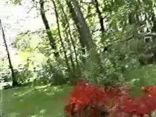 Watch Striped by a bee Short Sex Videos - Duration: 00:43 | ePornNEW.