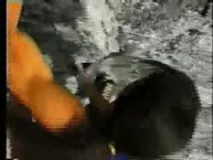 Speed Climbing