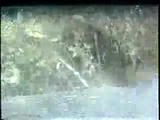 Watch Tree fun Short Sex Videos - Duration: 00:52 | ePornNEW.
