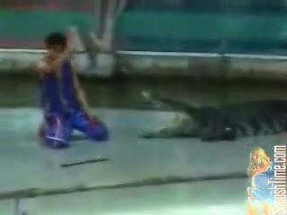 Watch Croc bitting of some asian dudes arm.. Short Sex Videos - Duration: 00:30 | ePornNEW.