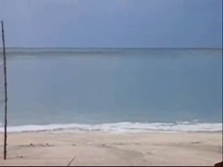 Watch Home footage of the Tsunami Short Sex Videos - Duration: 01:01 | ePornNEW.
