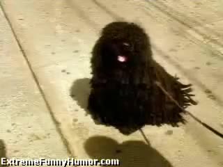 Watch Fro master! Short Sex Videos - Duration: 00:30 | ePornNEW.