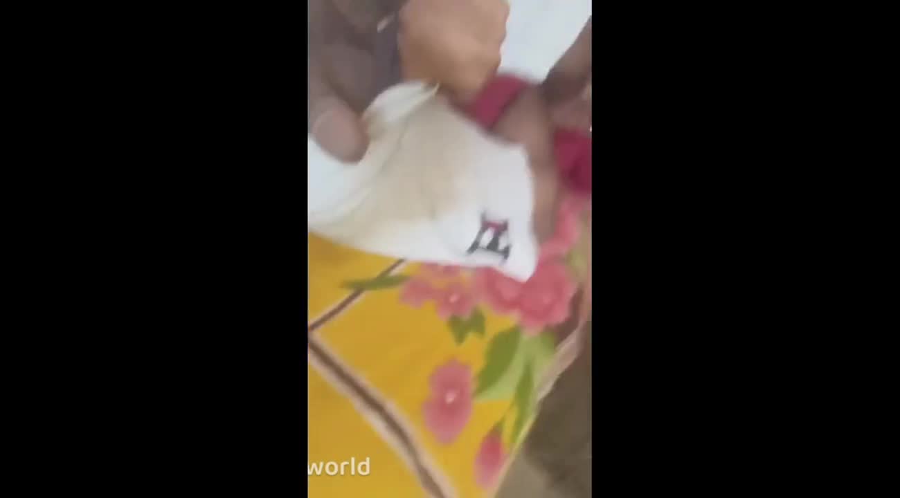 Watch bengali boy nude self musterbation Short Sex Videos - Duration: 01:24 | ePornNEW.