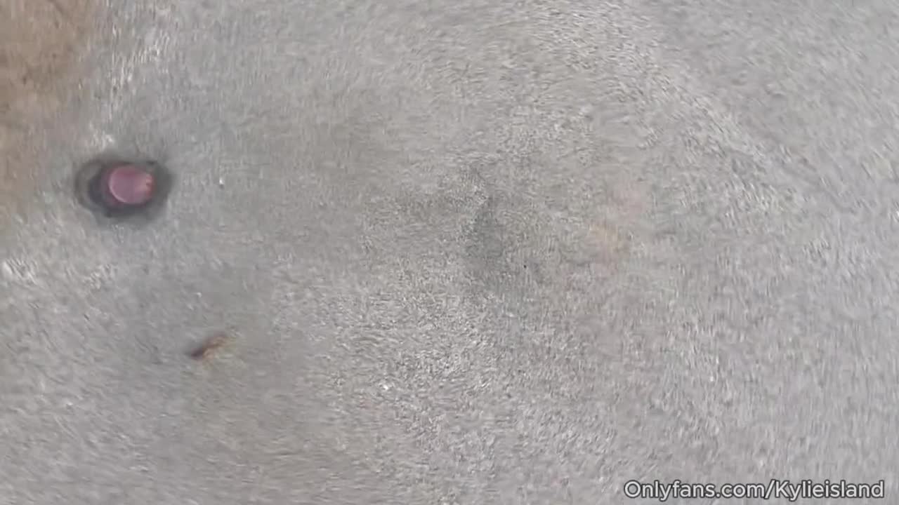 Watch Saving a Wild Sea Cucumber! Short Sex Videos - Duration: 07:13 | ePornNEW.