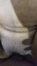 Fucking