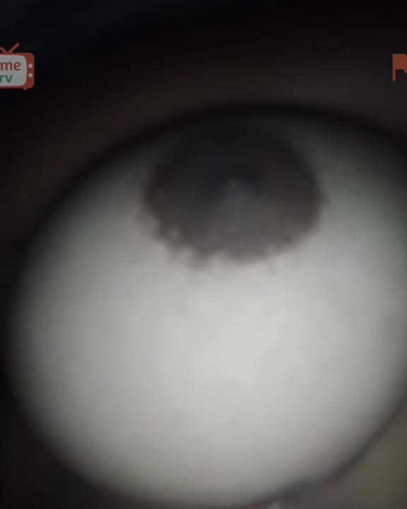 Watch Omegle Porn Indonesian bigg round boobs on ome tv Short Sex Videos - Duration: 02:22 | ePornNEW.