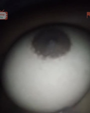 Omegle Porn Indonesian bigg round boobs on ome tv