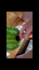 High on ecstasy fucking watermelon
