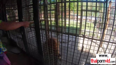Big white cocked dude feeding his amateur Thai teen GFs Cherry hungry pussy