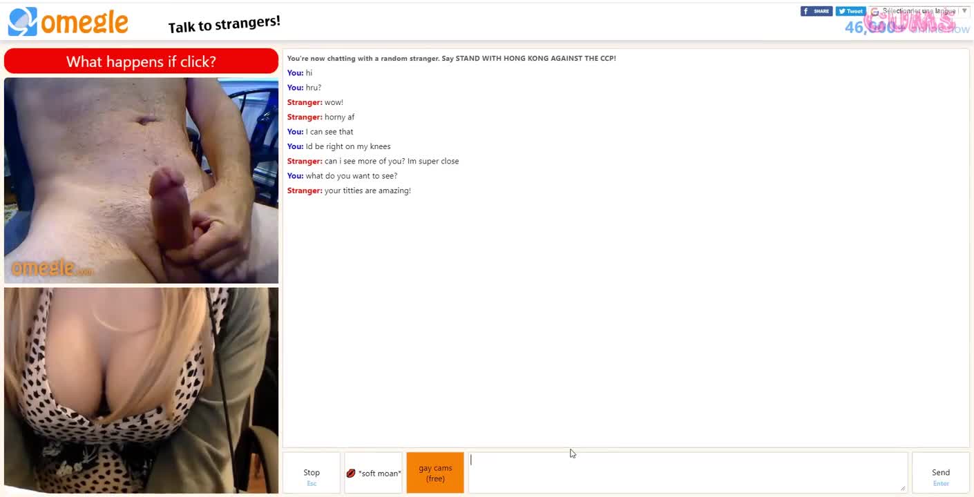 Watch Omegle Porn Omegle Trap #3 Short Sex Videos - Duration: 09:51 | ePornNEW.