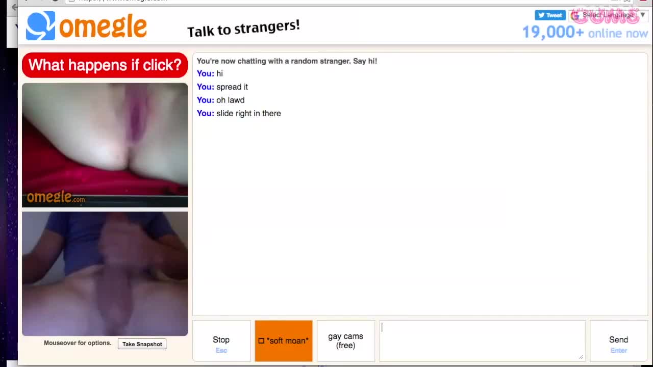 Watch Omegle Porn Omegle Worm 437 / Chat Fun Short Sex Videos - Duration: 12:06 | ePornNEW.