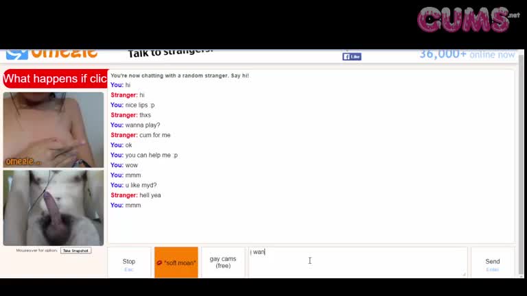 Watch Omegle Porn Teen On Omegle #422697 Short Sex Videos - Duration: 04:23 | ePornNEW.