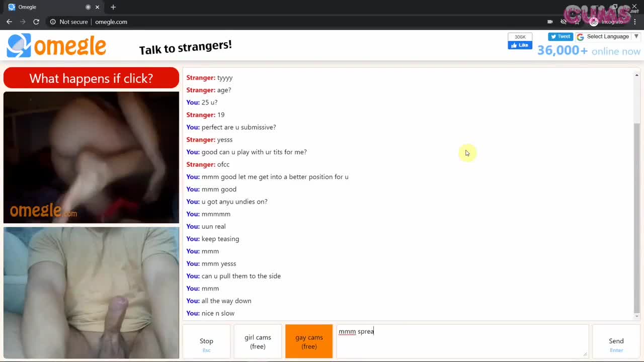 Watch Omegle Porn Omegle Worm 391 / Chat Fun Short Sex Videos - Duration: 05:51 | ePornNEW.