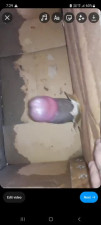 Masturbating by long dick
