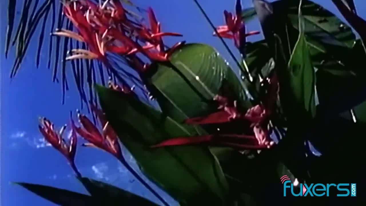 Watch outdoor threesome sex Short Sex Videos - Duration: 12:34 | ePornNEW.