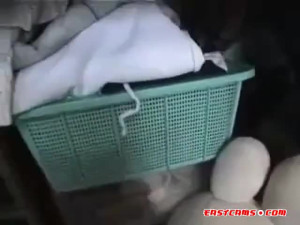 Japanese Panty Drawer